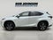 2020 Lexus NX NX 300h